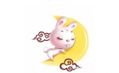 屬兔人未來哪年運勢好 未來兩年當中屬兔的運勢發展情況