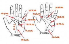 特殊命格的人手相特徵有4個細節 仔細辨認能看出不同