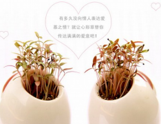 和對方吵架之後頭總暈暈的 這就是中了挽回術的症狀