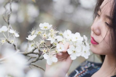 蓮花山求姻緣符,告別單身由此開始