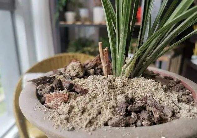 门口撒草木灰辟邪吗 家门口撒灰有什么讲究