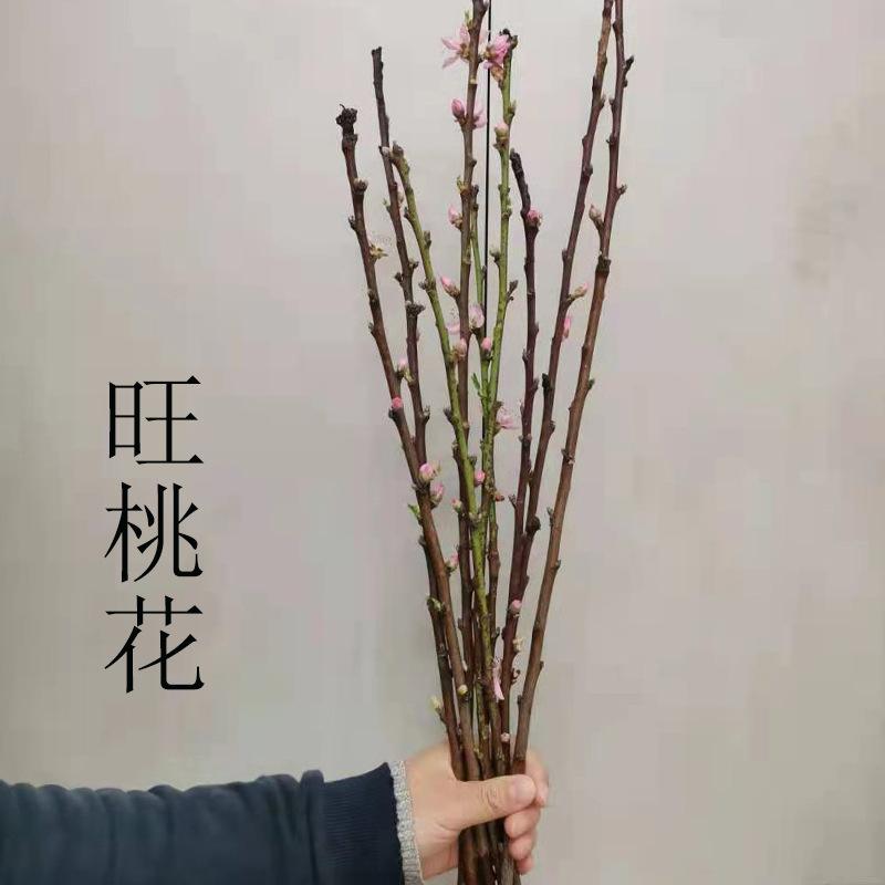 桃花枝能辟邪 桃花枝有什么寓意