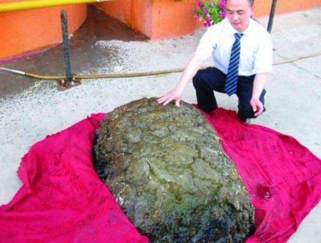 哪个地方容易有太岁 可以在不同的地方化太岁吗