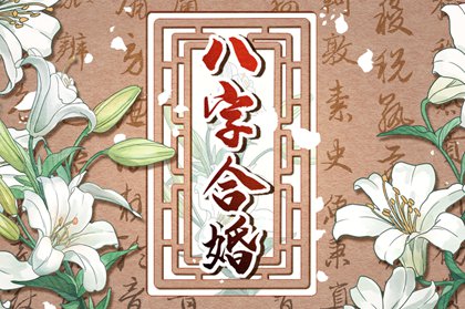 八字合婚依据 八字合婚哪八字