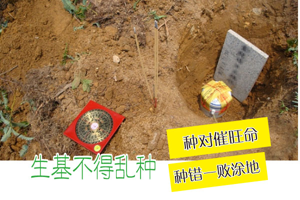 种生基后人有什么反应 种生基后身体有什么反应