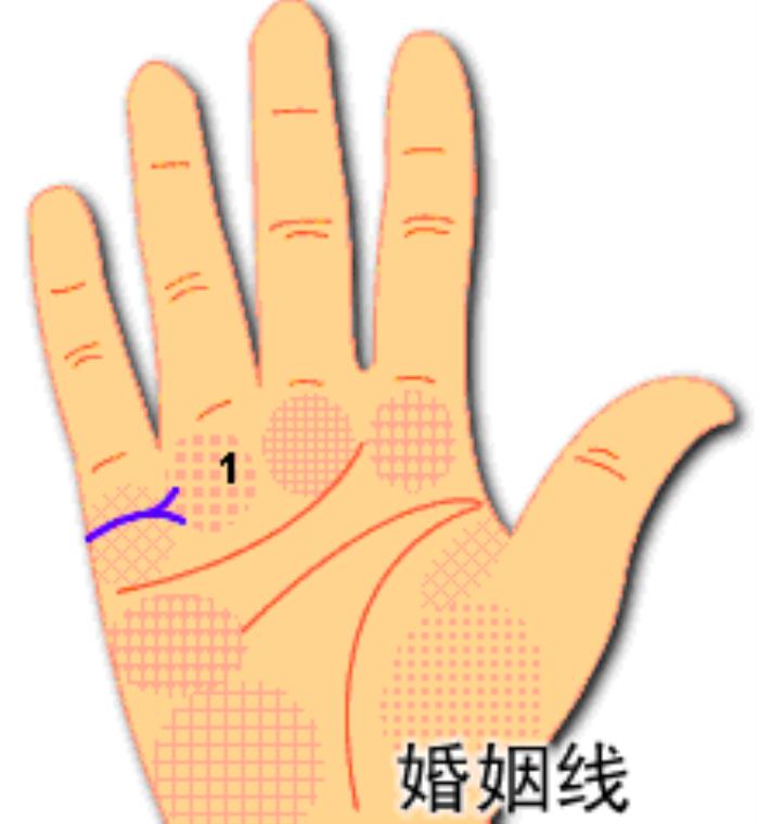 什么是婚姻线 什么是婚姻线杂乱长短不一