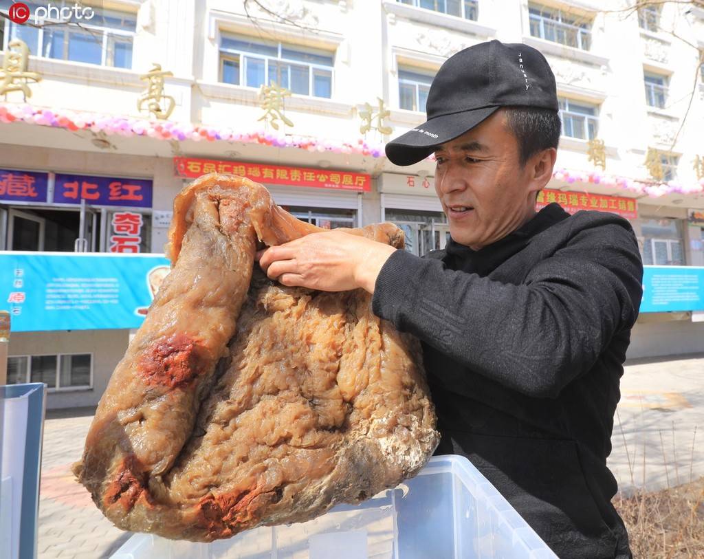 太岁生长在什么地方 太岁是怎么形成的长在什么地方