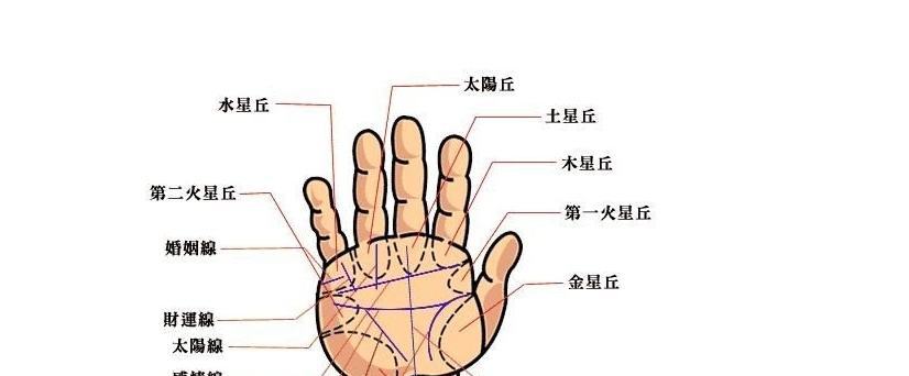 男人手相大全 男人手相图解大全详解 财运