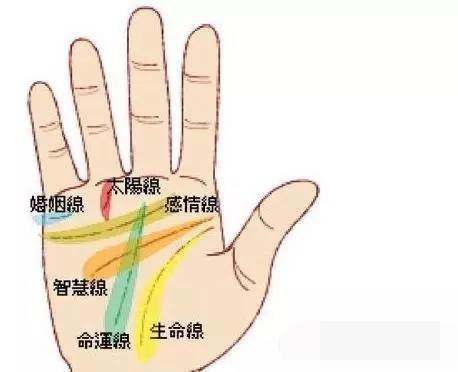 男人手相大全 男人手相图解大全详解 财运