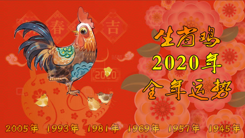 运势2023年运势12生肖运势 兔年运势2023年运势12生肖运势