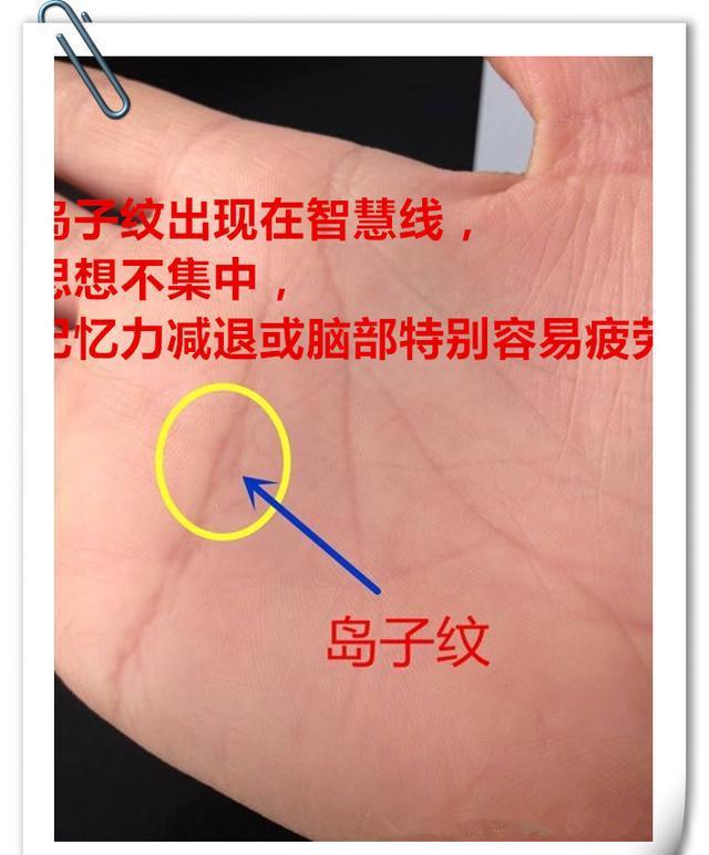 手相拍照在线测算 在线手机照片测手相