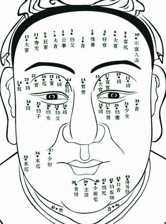 面痣的位置与命运图解 男人面痣的位置与命运图解