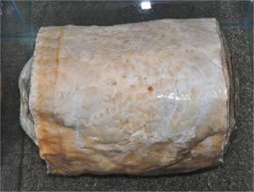 太岁肉 太岁肉一般泡几天用效果好