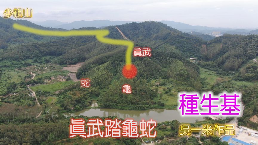 种生基一般风水师收多少钱 风水种生基会提前消耗福报吗