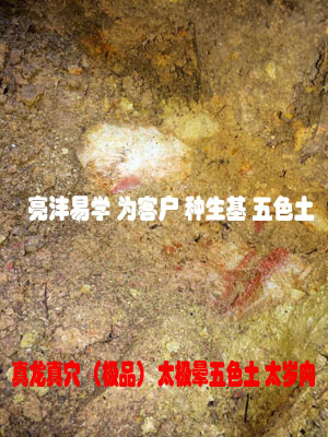 种生基对后代好不好 种生基对子女有什么影响