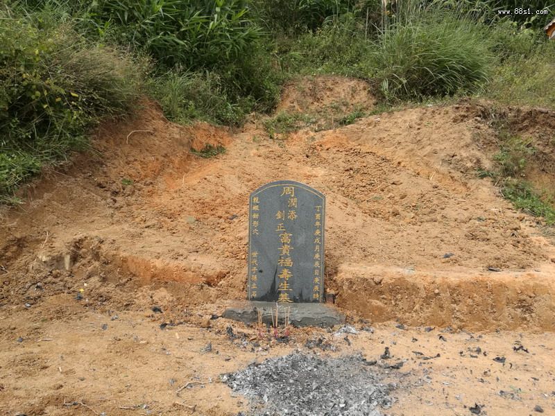 种生基有什么讲究 种生基到底能不能发财