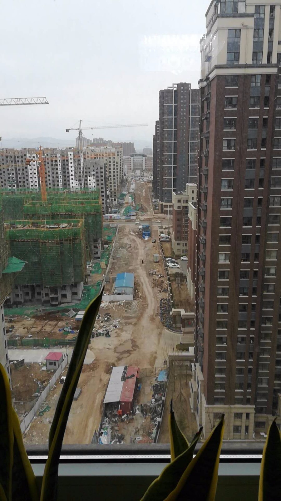 什么是假路冲 什么样的路冲越冲越旺