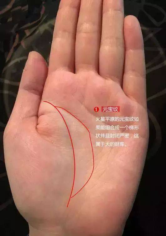 财库手相 财库手相图片