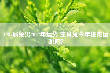 免费算健康运势 健康算命免费测试