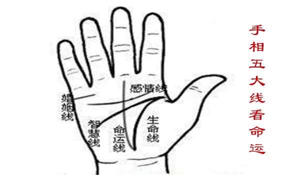 手相的各种纹路代表的是什么 手相的各种纹路代表的是什么意思