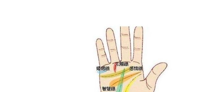 女人左手手相图解大全 女人左手手相图解大全详解
