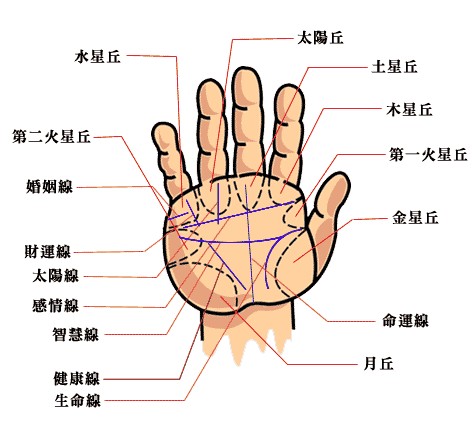 如何看手相算命图解男人 怎么样看手相图解算命运男士