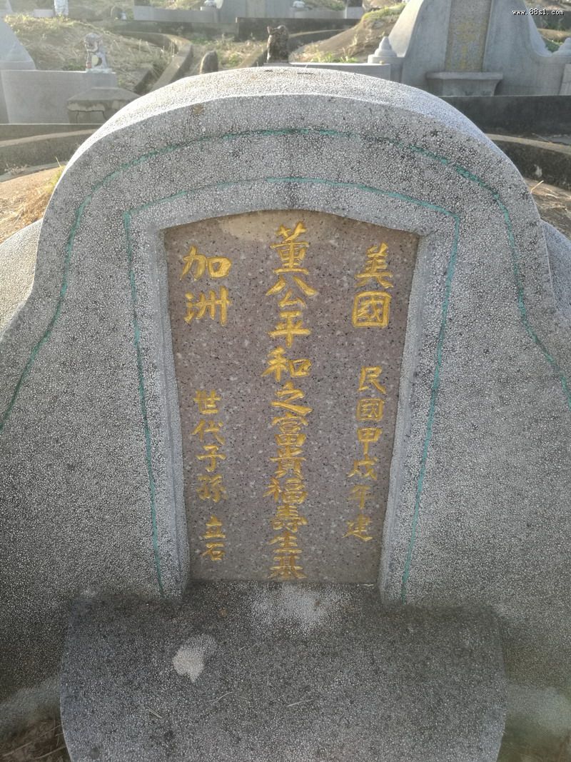 年轻人种生基好吗 年轻人可以种生基吗