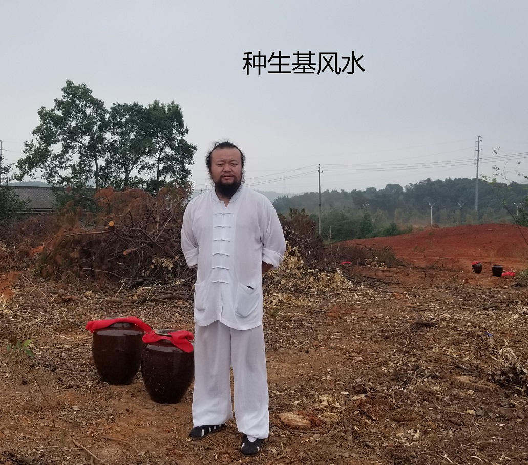 种生基有用吗 种生基真的有用吗