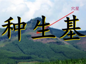 种生基真正发财的人 生基改运的力量有多大
