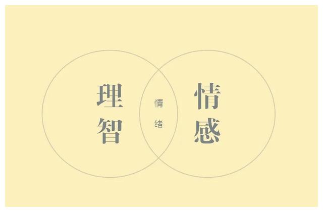 論理性與感性的關係 論理性與感性的關係議論文