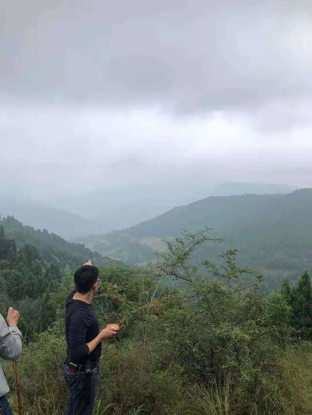 种生基改运不得善终 什么是种生基?哪些名人用种生基改过运?