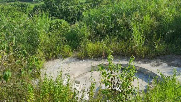 种生基风水秘术改运法 种生基风水改运书籍价格表