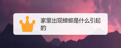 家里出现蟑螂风水预示什么 家里出现蟑螂风水预示什么呢