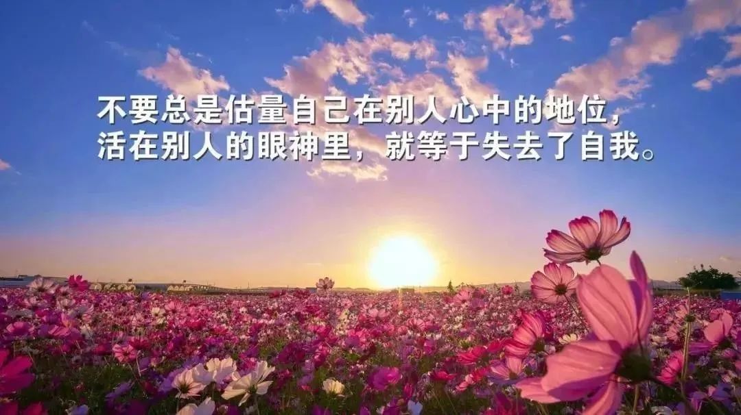 十句話穿透人心短句 十句話穿透人心的成語
