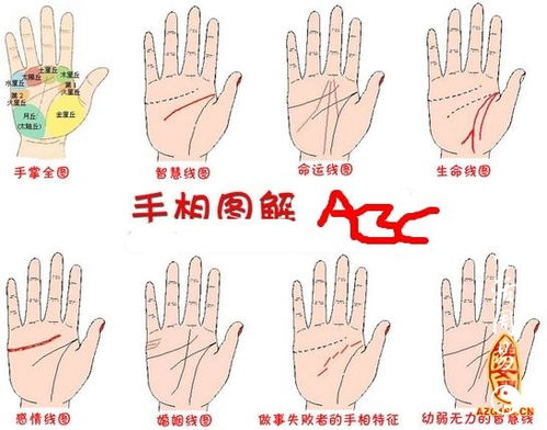 看手相算命圖解男性左手生命線 手相男左手生命線怎麼看壽命多長