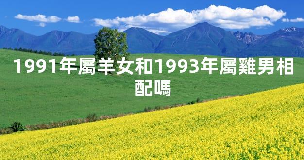 1991年屬羊女和1993年屬雞男相配嗎