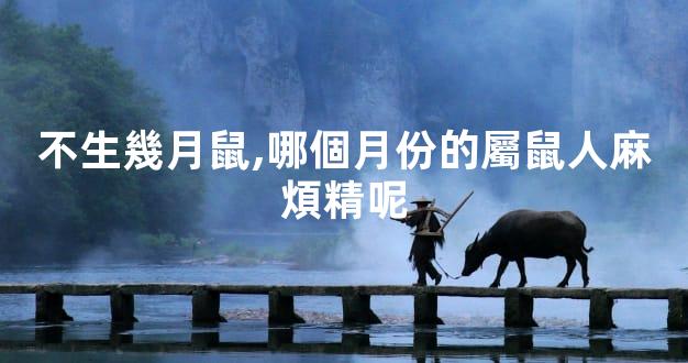 不生幾月鼠,哪個月份的屬鼠人麻煩精呢