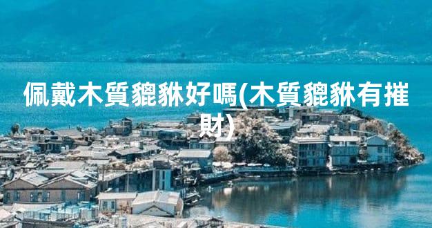 佩戴木質貔貅好嗎(木質貔貅有摧財)