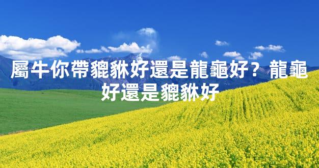 屬牛你帶貔貅好還是龍龜好？龍龜好還是貔貅好