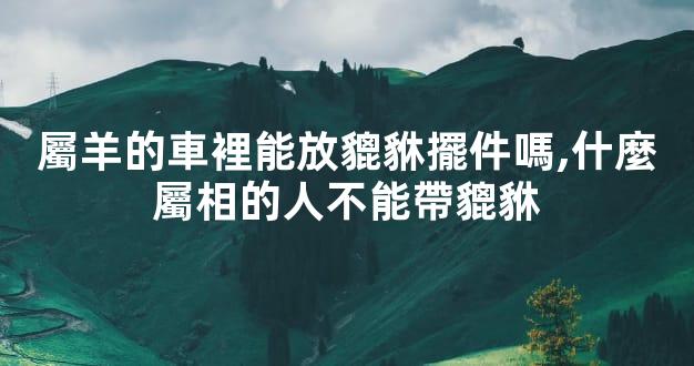 屬羊的車裡能放貔貅擺件嗎,什麼屬相的人不能帶貔貅