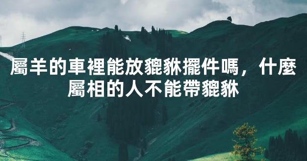 屬羊的車裡能放貔貅擺件嗎，什麼屬相的人不能帶貔貅
