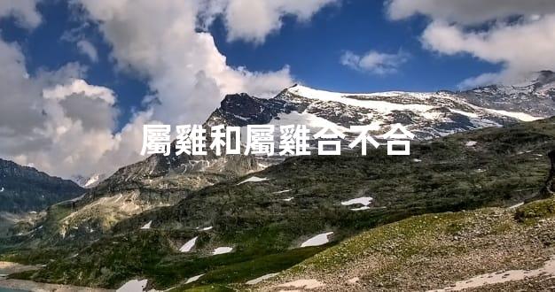 屬雞和屬雞合不合