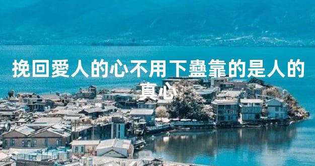 挽回愛人的心不用下蠱靠的是人的真心