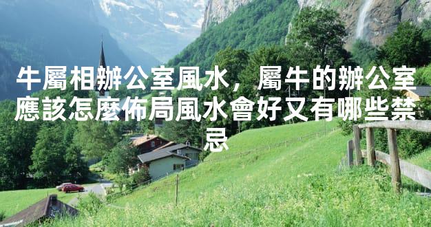 牛屬相辦公室風水，屬牛的辦公室應該怎麼佈局風水會好又有哪