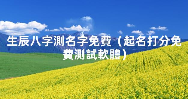 生辰八字測名字免費（起名打分免費測試軟體）