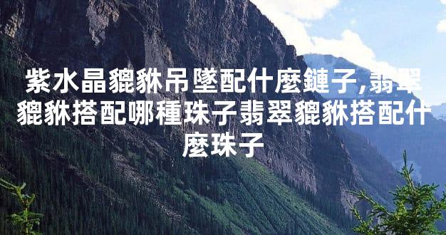 紫水晶貔貅吊墜配什麼鏈子,翡翠貔貅搭配哪種珠子翡翠貔貅搭