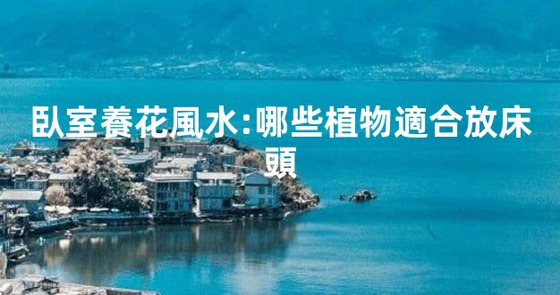 臥室養花風水:哪些植物適合放床頭