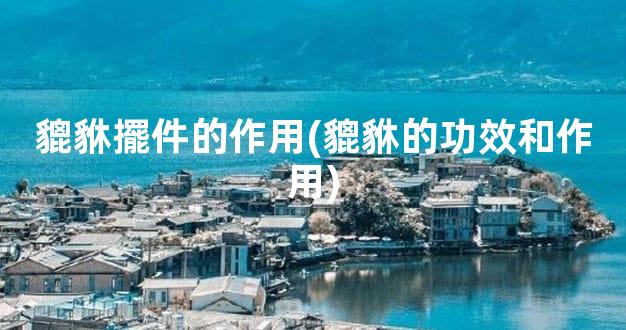 貔貅擺件的作用(貔貅的功效和作用)