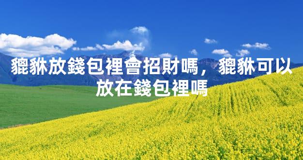 貔貅放錢包裡會招財嗎，貔貅可以放在錢包裡嗎