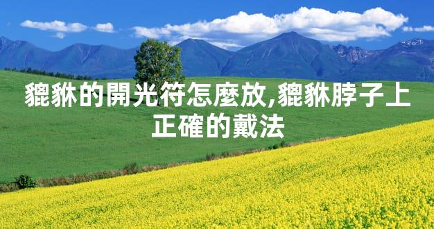 貔貅的開光符怎麼放,貔貅脖子上正確的戴法